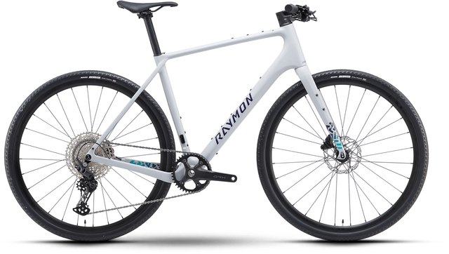 Raymon Soreno Sport timeless grey bicycle, side view