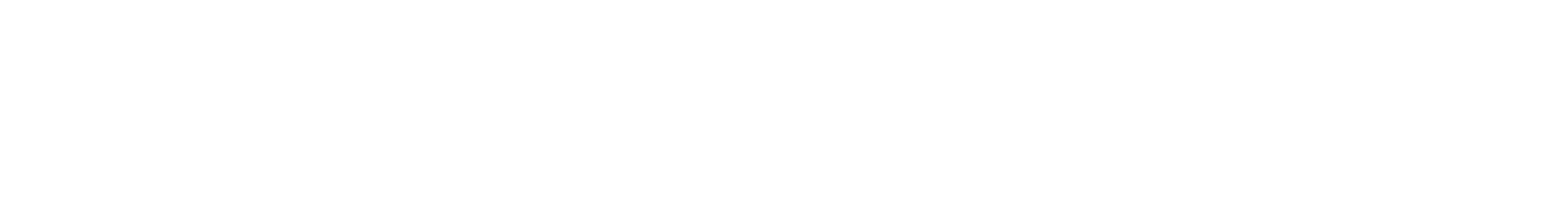 Silver Cat Cycles logo