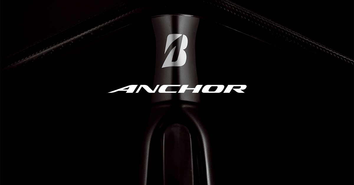 ANCHOR logo