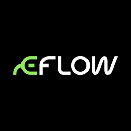 Eflow Brasil logo