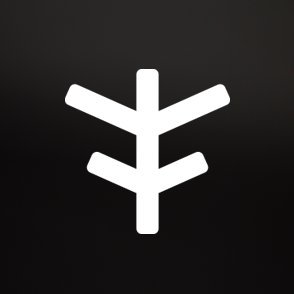 Flybikes logo