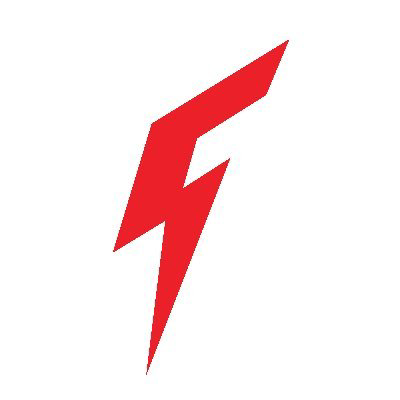 FLX logo