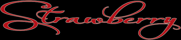 Strawberry Bicycle logo