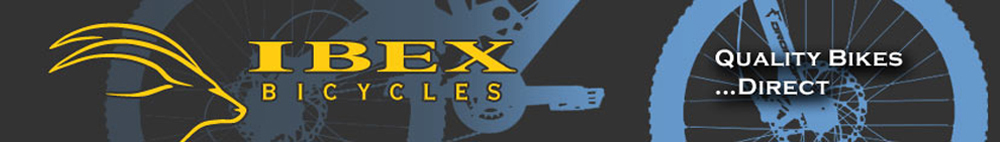 IBEX logo