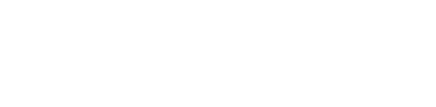 Birdy logo