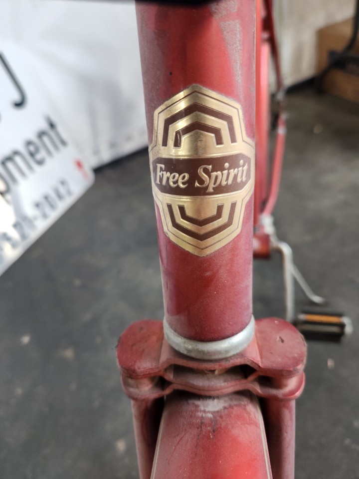 Free Spirit logo