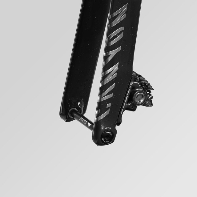 Canyon Aeroad CFR rear dropout and integrated thru-axle tool detail