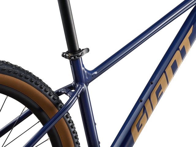 ALUXX-grade aluminum, disc, manufacturer frame seat cluster detail