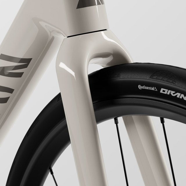 FK0154 CF Disc, manufacturer fork crown and upper legs detail